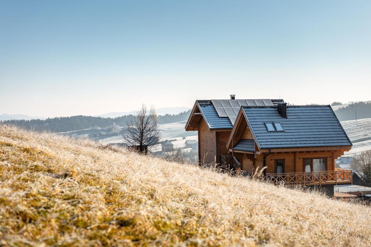 Houten Vakantiewoning "Reisnaarpolen" Royaal Ontbijt, Sauna En Hottub Czarna Góra Eksteriør billede